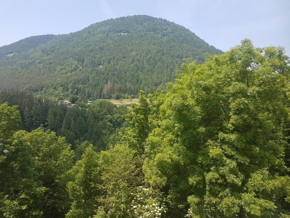 Appartamento Altipiano Pine 2 Bedollo Екстериор снимка